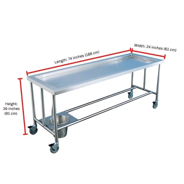 Anatomy Dissection Table
