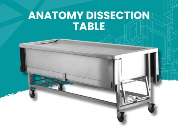 Anatomy Dissection Table