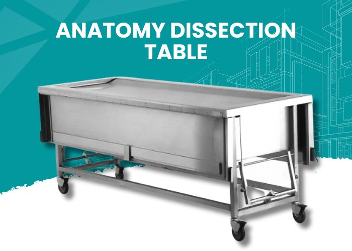 Anatomy Dissection Table